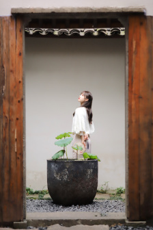 桃花洞口开香蕊落莓苔意思